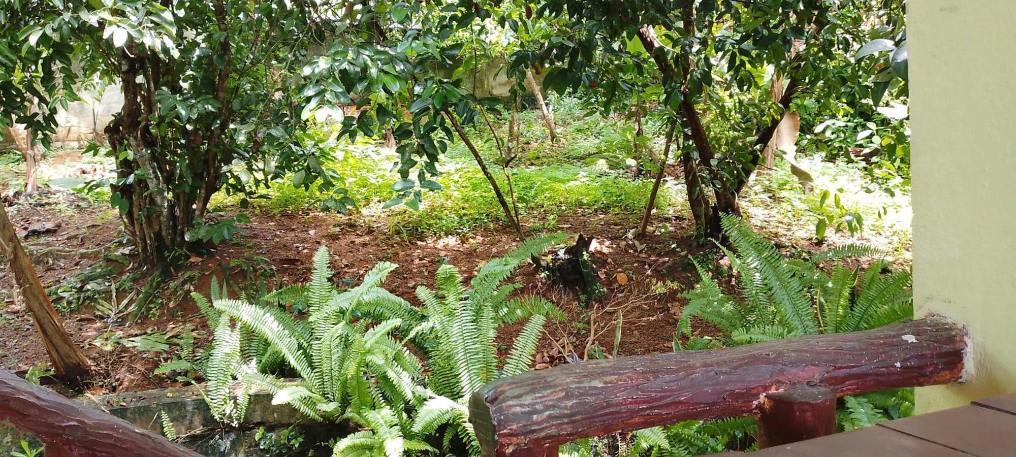 Ranga Villa Hikkaduwa Ruang foto